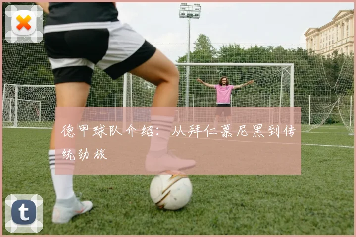 德甲球队介绍:从拜仁慕尼黑到传统劲旅