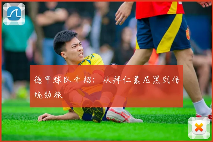 德甲球队介绍：从拜仁慕尼黑到传统劲旅